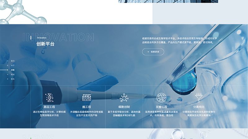 中国CDMO龙头企业合作攻略：揭秘合作共赢之道