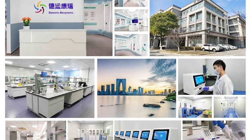 DMEM培养基：价格背后的价值考量**