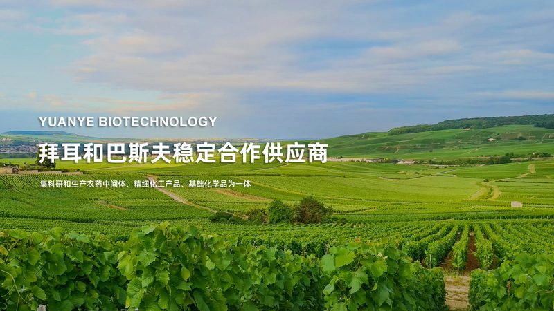 认识误区：价格与品质的等价关系