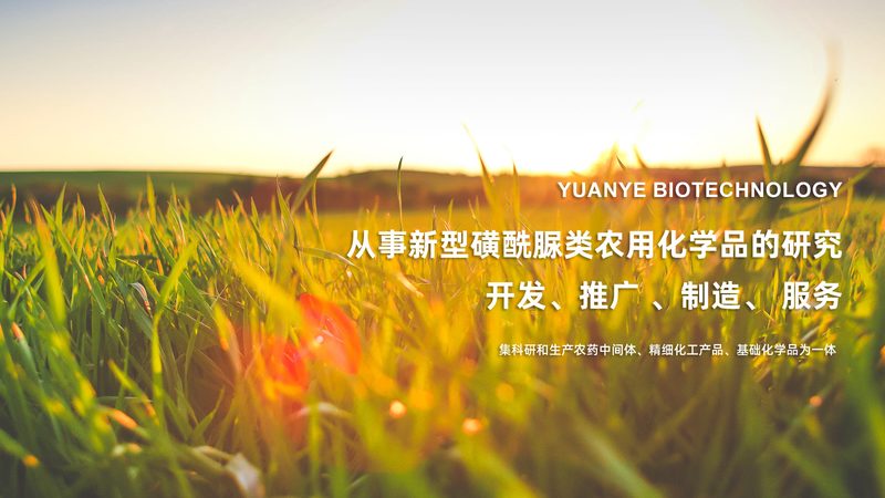 实验室设备参数解析：生物科技公司关键考量因素**