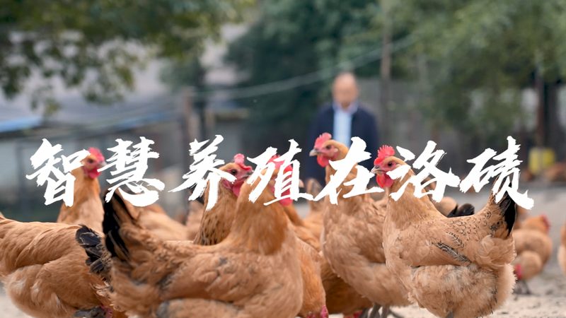 生物医药CRO与CDMO：一纸之隔，千差万别**