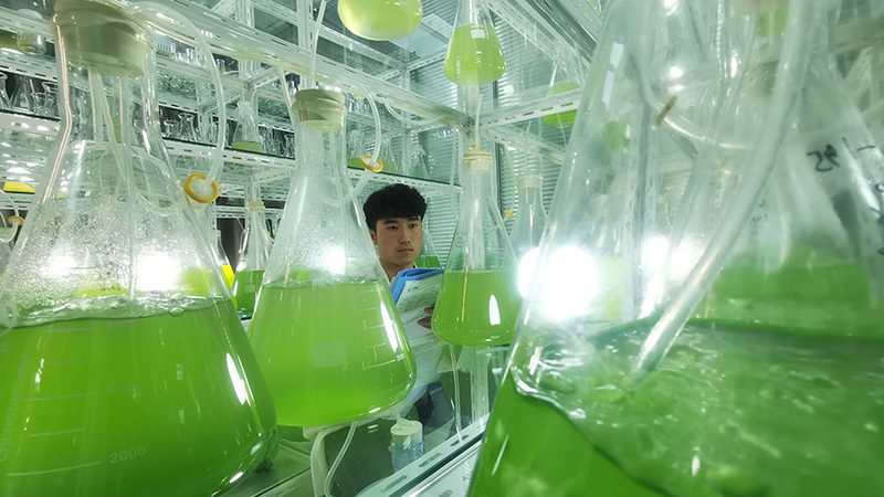 实验室离心管与试管的选用之道：如何匹配实验需求